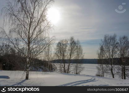 A beautiful winter landscape in contoured light with a snowy slope and birches on a Sunny day.