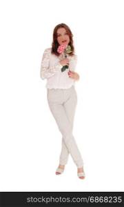 A beautiful young Caucasian woman in a lace blouse and brunette hairholding a pink rose in her hand, isolated for white background