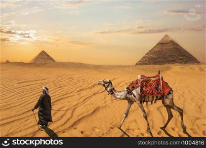 A bedouin with a camel in front of the Pyramid of Khafre and the Pyramid of Menkaure, Egypt.. A bedouin with a camel in front of the Pyramid of Khafre and the Pyramid of Menkaure, Egypt