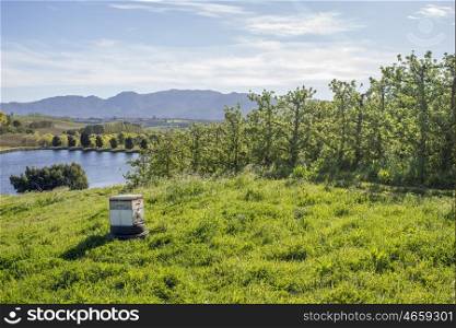 A bee box stand on lush green grass near pear trees on a farm.