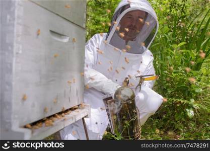 a beekeeper is smoking bees