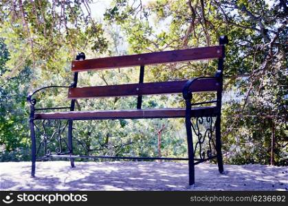 A bench in a garden in the shade of a tree.