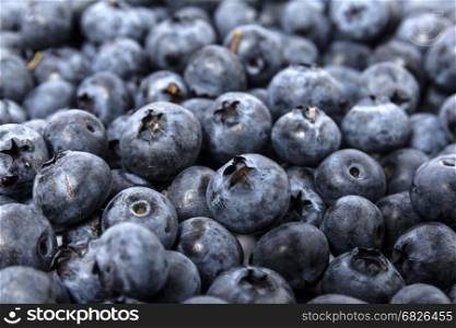 A berries of blueberry background texture photo