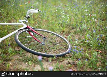 A bicycle is lying on the ground in a meadow