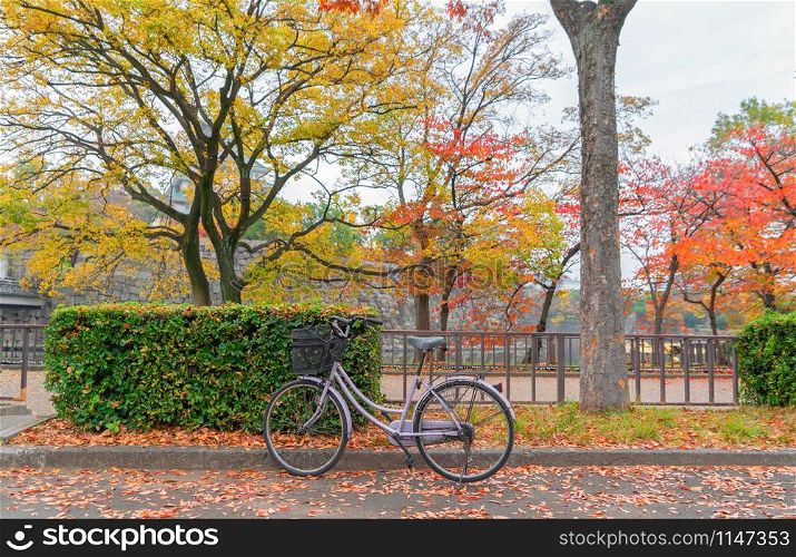 A bicycle or bike with red maple leaves or fall foliage with branches in colorful autumn season in Osaka City, Kansai. Trees in Japan. Nature landscape background.