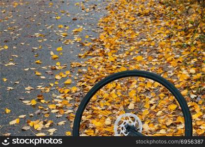 a Bicycle wheel on a background of yellow leaves, a Bicycle on a autumn background. a Bicycle on a autumn background, a Bicycle wheel on a background of yellow leaves