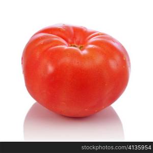 a big fresh red tomato on white