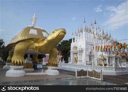 a big golden turtle at the Wat Pong Sunan Temple in the city of Phrae in the north of Thailand. Thailand, Phrae November, 2018.. THAILAND PHRAE WAT PONG SUNAN TEMPLE