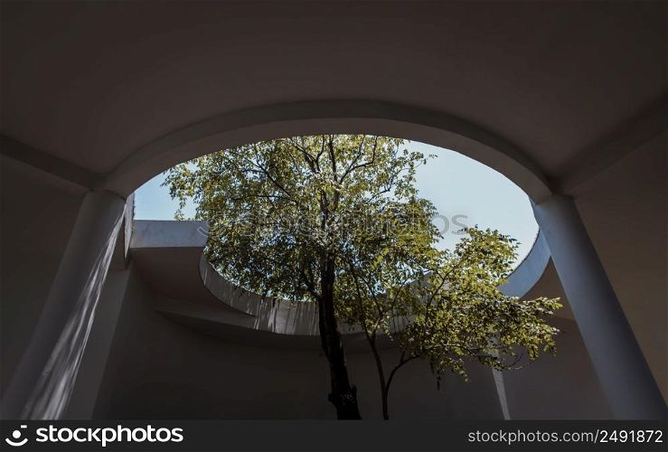 A big tree in the middle of building in summer time. Building design for green living concept. Environmental friendly building design. Ecology concept. No focus, specifically.