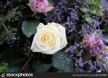 A big white rose mixed with purple flowers in the snow