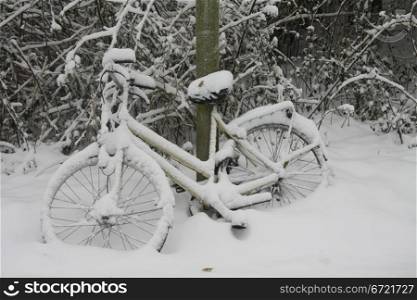 A bike parked near a tree, covered in snow