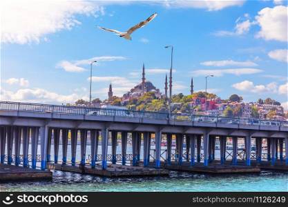 A bird flying over the Ataturk Bridge and the Suleymaniye Mosque in the background, Istanbul.