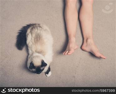A Birman cat and the feet of a young woman on a carpet