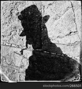 A black shadow of an observant Jew praying falls on a portion of the Wailing Wall in the Old City of Jerusalem in Israel. (In black and white.)