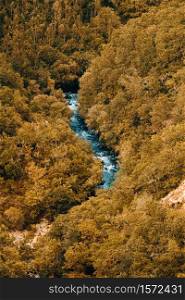 A blue river between massive yellow trees