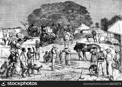 A boar hunt in Bengal. The start of camp, vintage engraved illustration. Journal des Voyage, Travel Journal, (1880-81).