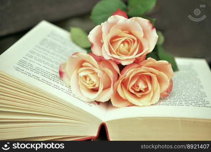 a book book pages read roses