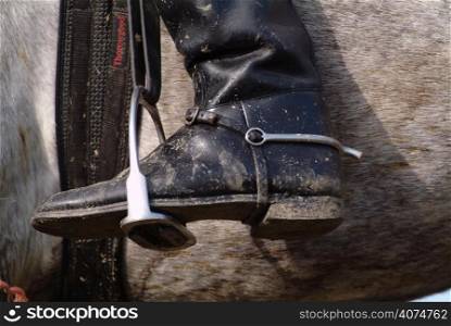 A boot in a stirrup