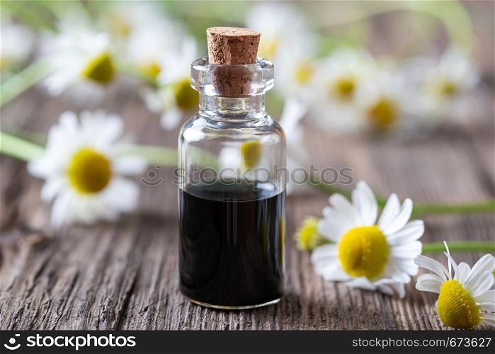 A bottle of dark blue German chamomile essential oil and fresh flowers in the background