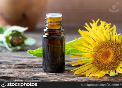A bottle of elecampane essential oil with fresh Inula helenium flowers