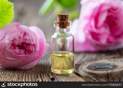 A bottle of essential oil with fresh cabbage roses on a table