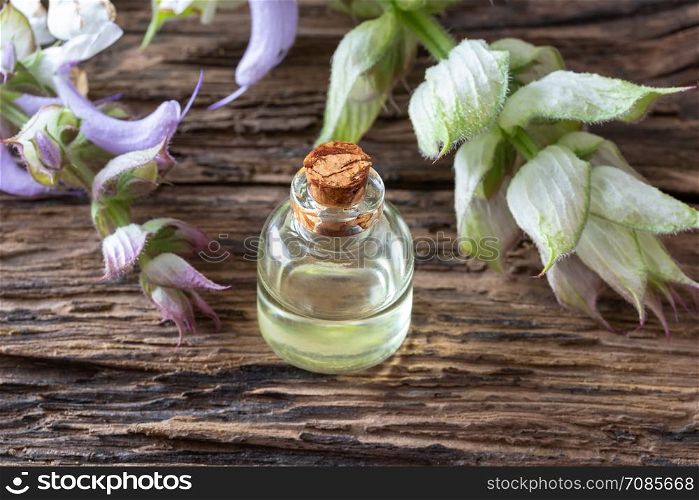A bottle of essential oil with fresh clary sage twigs