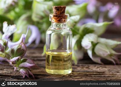 A bottle of essential oil with fresh clary sage twigs