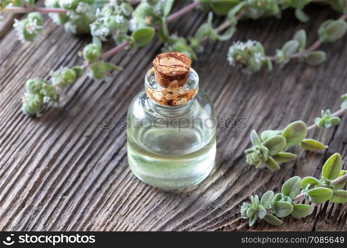 A bottle of essential oil with fresh marjoram plant