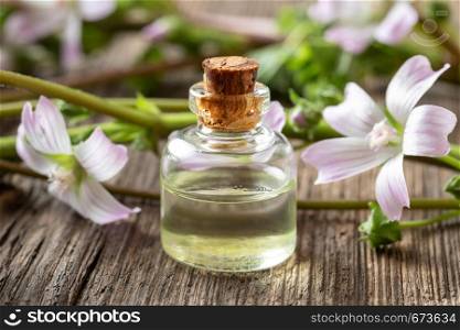 A bottle of mallow essential oil with fresh blooming malva neglecta plant