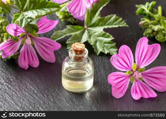 A bottle of mallow essential oil with fresh blooming malva sylvestris twigs