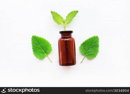 A bottle of melissa lemon balm essential oil.. A bottle of melissa lemon balm essential oil with fresh leaves.