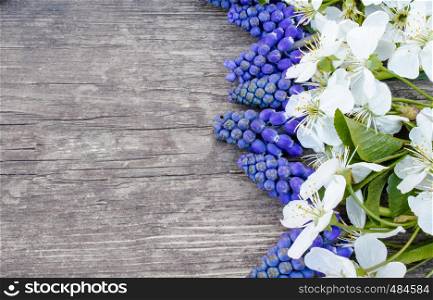 A bouquet of blue bells on old, wooden boards, with white flowers of cherry, bluebells. View from above. Place for text.. A bouquet of blue bells on old, wooden boards, with white flowers of cherry, bluebells. View from above.