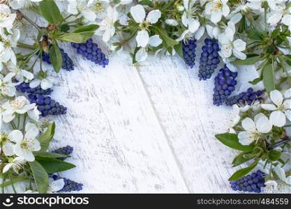 A bouquet of blue bells on white, wooden boards, with white flowers of cherry, bells. View from above. Place for text.. A bouquet of blue bells on white, wooden boards, with white flowers of cherry, bells. View from above.