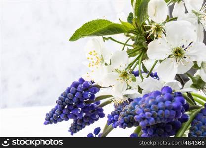 A bouquet of blue flowers, bluebells and white cherry blossoms in a jar of water on a light background. There is a place for your text.. A bouquet of blue flowers, bluebells and white cherries in a jar of water on a light background. Place for your text.