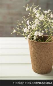 A bouquet of gypsophila flowers on the wooden table. Vintage style image. Copy space