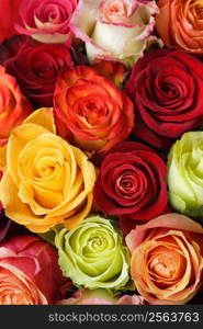 A bouquet of multi-coloured roses. Focus on middle roses.