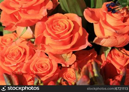 A bouquet of orange roses in a flower parade