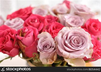 A bouquet of pink and purple roses