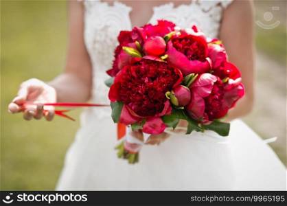 A bouquet of red peonies in the hands of a bride in a wedding dress.. A beautifu bouquet of bright red peonies in the hands of a girl 2825.