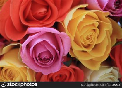 A bouquet with roses in different colors