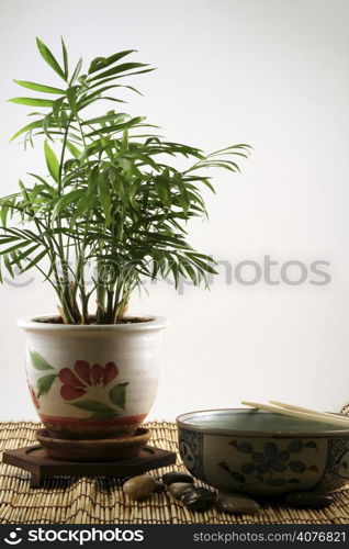 A bowl and a palm tree in Zen-like environment