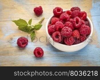 a bowl of red raspberries fresh from a garden