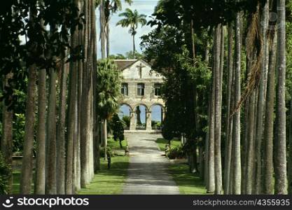 A boy&acute;s private school is seen on a palm lined avenue on the island of Barbados, Caribbean