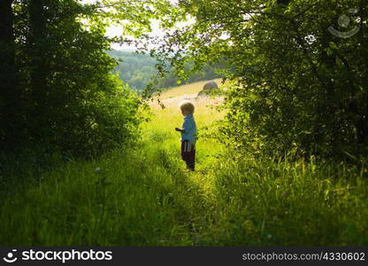 A boy standing in a forest