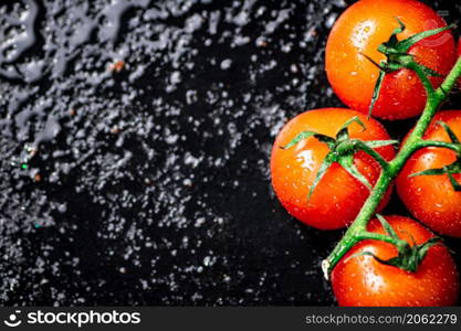 A branch of ripe tomatoes on a wet table. On a black background. High quality photo. A branch of ripe tomatoes on a wet table.