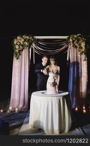 A bride and a groom is cutting their wedding cake. beautiful cake. nicel light. wedding concept. A bride and a groom is cutting their wedding cake. beautiful cake. nicel light. wedding concept.