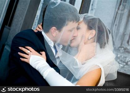 a bridegroom and his bride kiss, under bridal veil