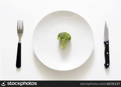 A broccoli on a plate, can be used for health theme