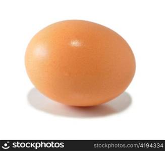 a brown egg on white background