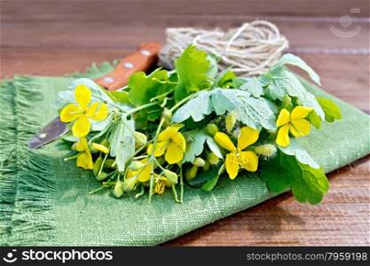 A bunch of flowers celandine, tied with twine, a knife on a green napkin on a background of wooden planks